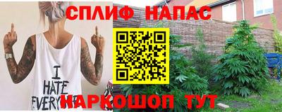 молекула духа Гай