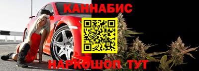 трава Гатчина