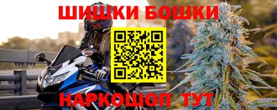 трава Гатчина