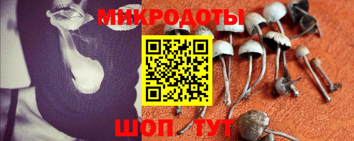 Галлюциногенные грибы прущие грибы  Вход с VPN  Зеленокумск 